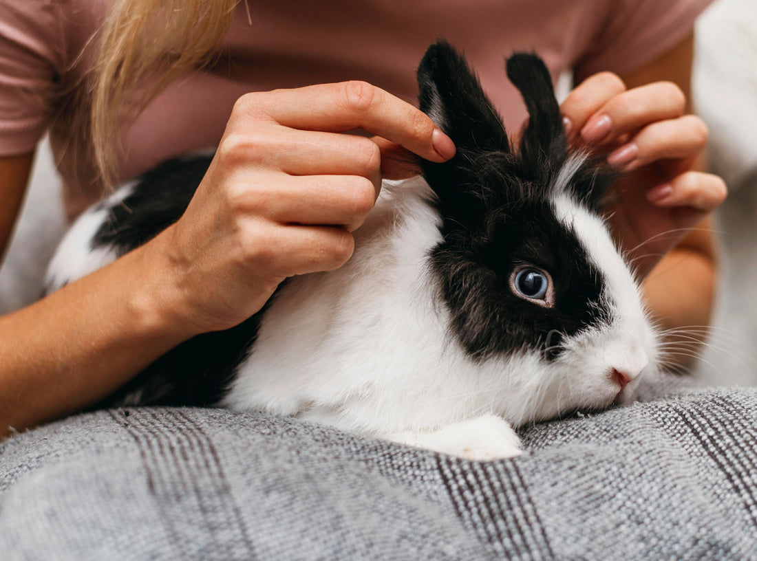 The Rise of Ethical Beauty: Why Cruelty-Free beauty is More Than a Trend - Vatarie Cosmetics